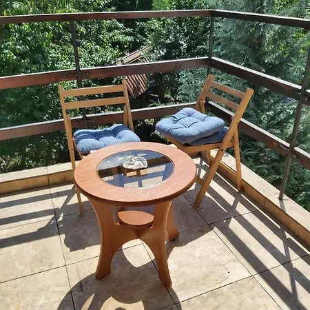 בית הארחה Casa Nelutu *